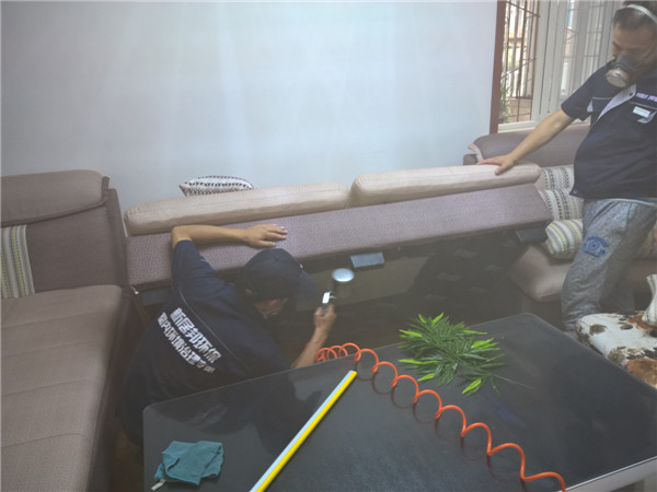 建筑科技大学家属院除甲醛